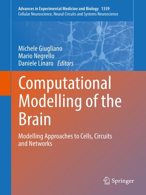 cover image of Computational Modelling of the Brain